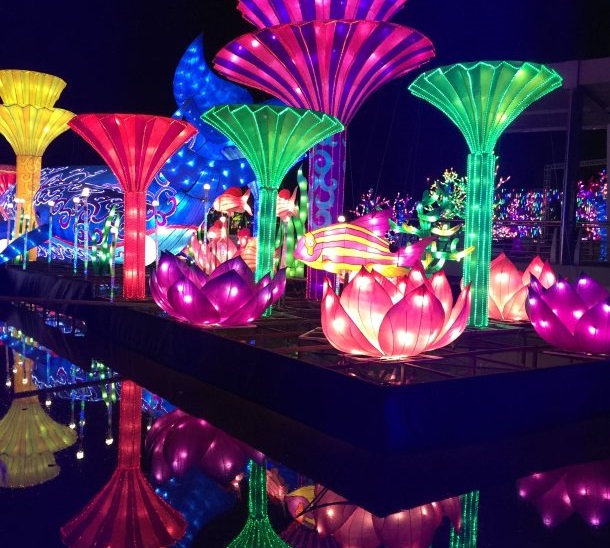 Dubai Glow garden