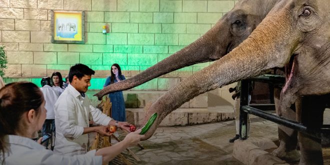 Emirates Park Zoo Abu Dhabi