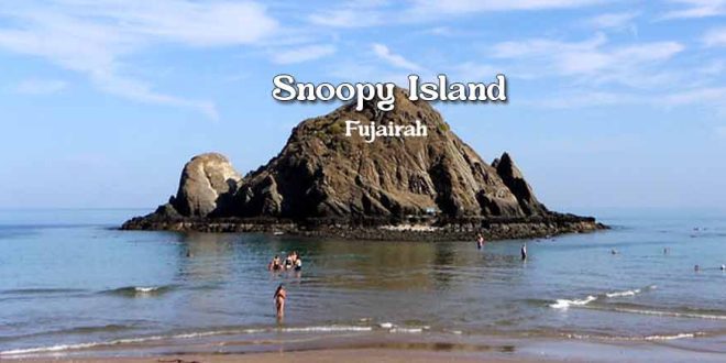 Snoopy Island Fujairah