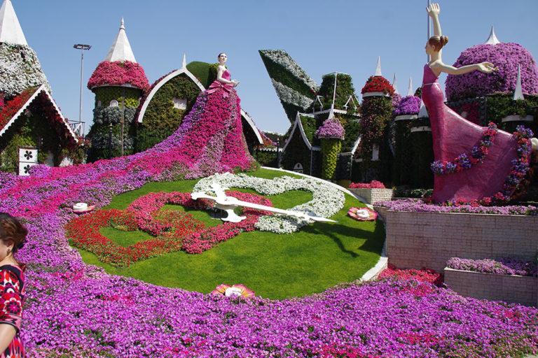 Dubai Miracle Garden Tour