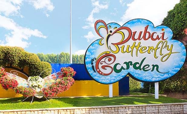 Dubai Butterfly Garden