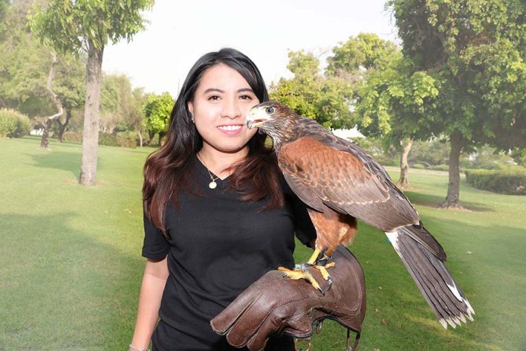 Creek Park Exotic Bird Show Ticket