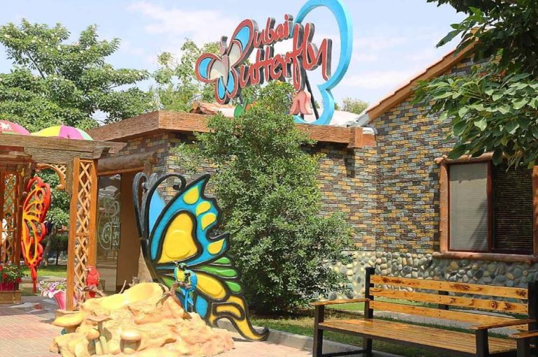 Dubai Butterfly Garden