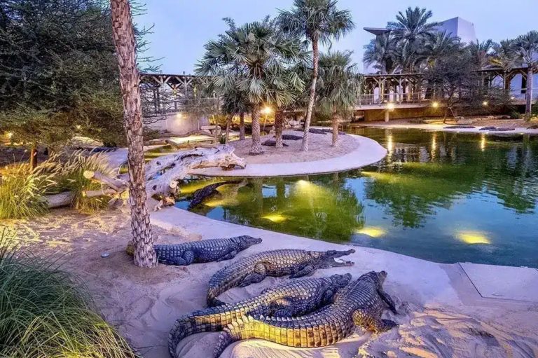 Dubai Crocodile Park