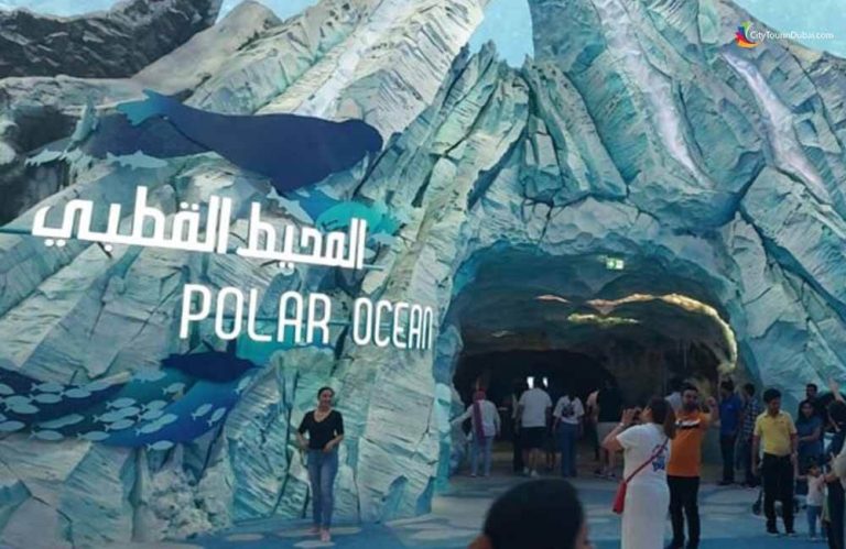 Seaworld Abu Dhabi Ticket