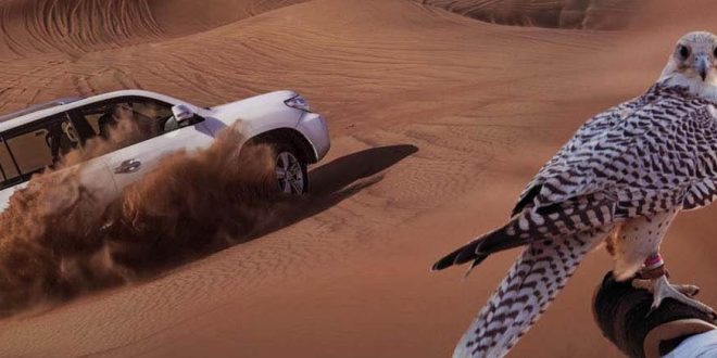 Book Royal Desert Safari Dubai Online Now