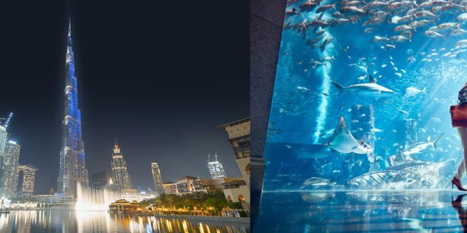 Burj Khalifa and Dubai Aquarium Ticket