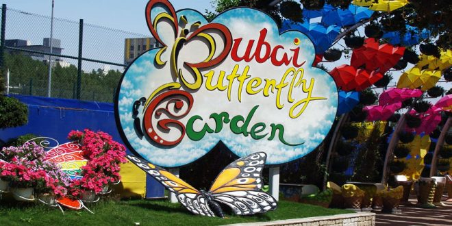Dubai Butterfly Garden