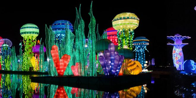 Dubai Garden Glow Tickets