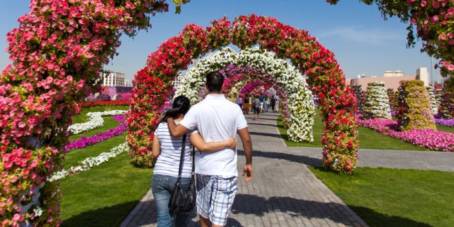 Dubai Miracle Garden Entry Tickets